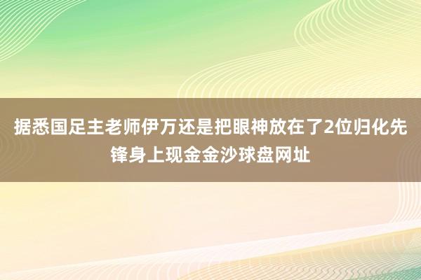 据悉国足主老师伊万还是把眼神放在了2位归化先锋身上现金金沙球盘网址