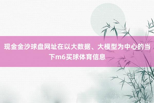 现金金沙球盘网址在以大数据、大模型为中心的当下m6买球体育信息