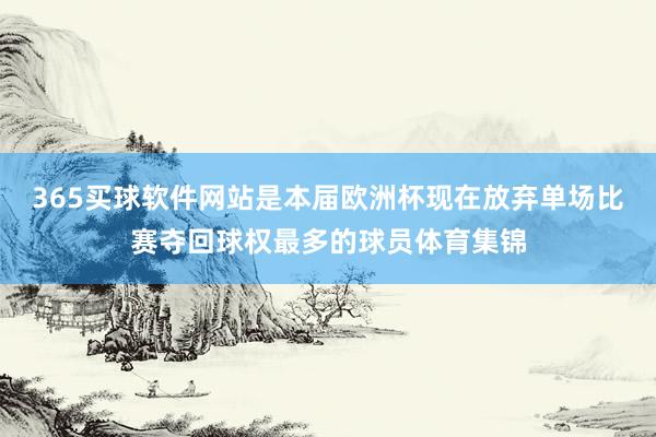 365买球软件网站是本届欧洲杯现在放弃单场比赛夺回球权最多的球员体育集锦