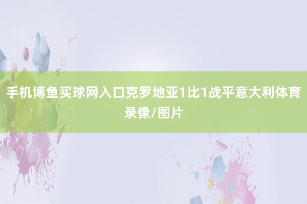 手机博鱼买球网入口克罗地亚1比1战平意大利体育录像/图片