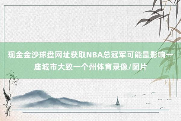 现金金沙球盘网址获取NBA总冠军可能是影响一座城市大致一个州体育录像/图片