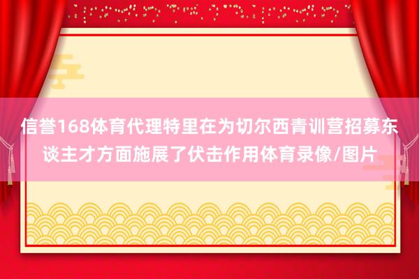 信誉168体育代理特里在为切尔西青训营招募东谈主才方面施展了伏击作用体育录像/图片