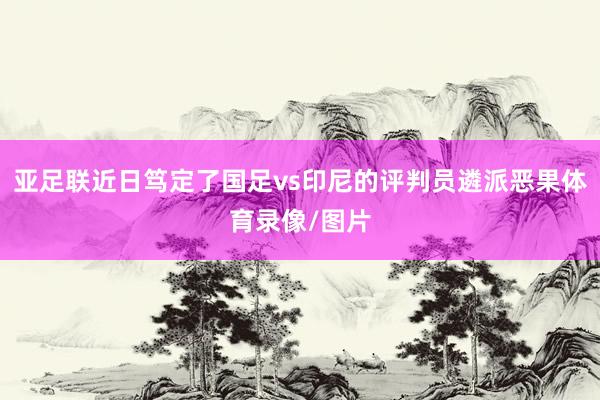 亚足联近日笃定了国足vs印尼的评判员遴派恶果体育录像/图片