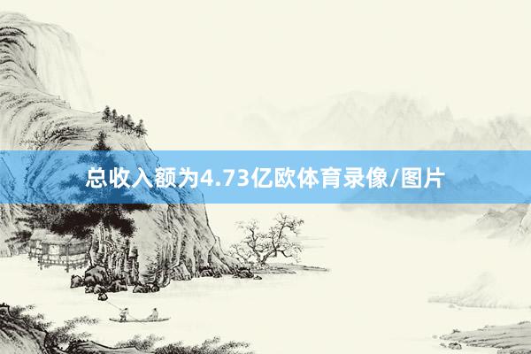 总收入额为4.73亿欧体育录像/图片