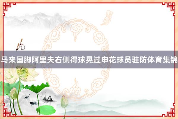 马来国脚阿里夫右侧得球晃过申花球员驻防体育集锦