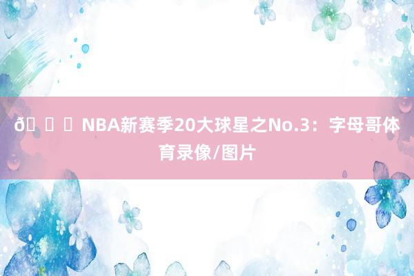 🌟NBA新赛季20大球星之No.3：字母哥体育录像/图片